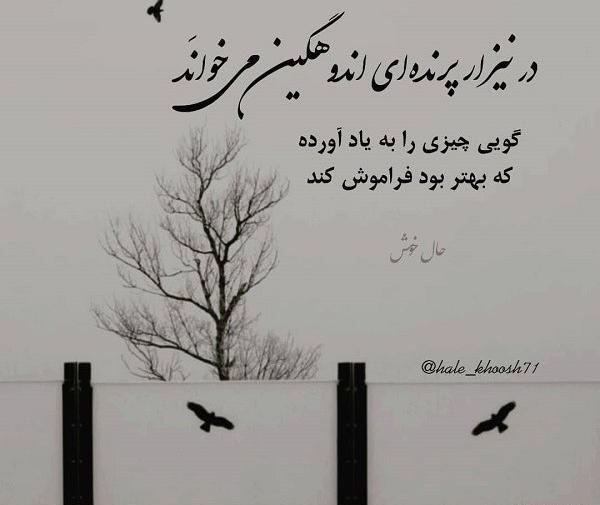 عکس نوشته ی گاهی باید رفت