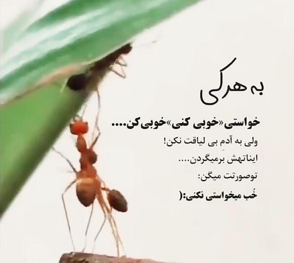 عکس نوشته در مورد بی لیاقتی آدمها