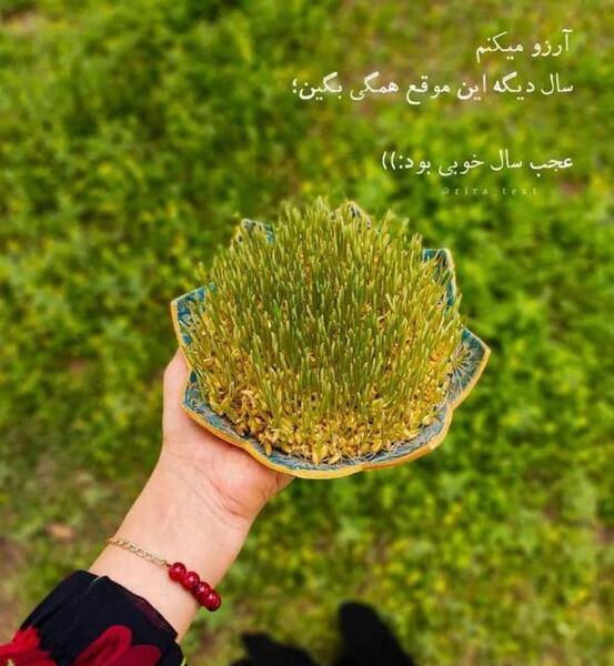 عکس نوشته سیزده بدر ۱۴۰۳