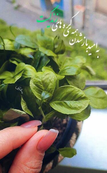 عکس نوشته سیزده بدر ۱۴۰۳