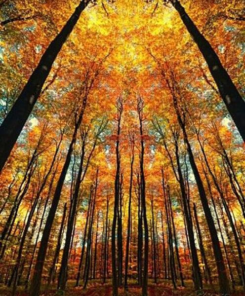 عکس های پروفایل پاییزی
