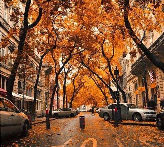 عکس های پروفایل پاییزی