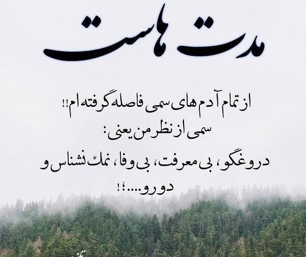 عکس نوشته راجب نمک نشناسی
