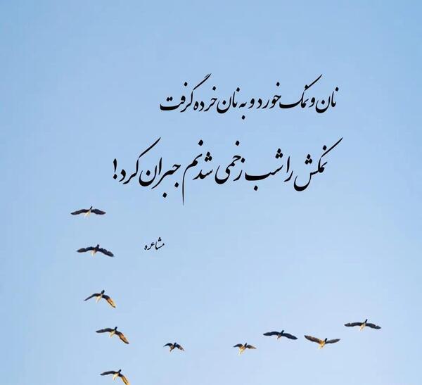 عکس نوشته راجب نمک نشناسی