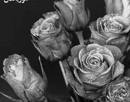 عکس نوشته اقای قاضی اینستا