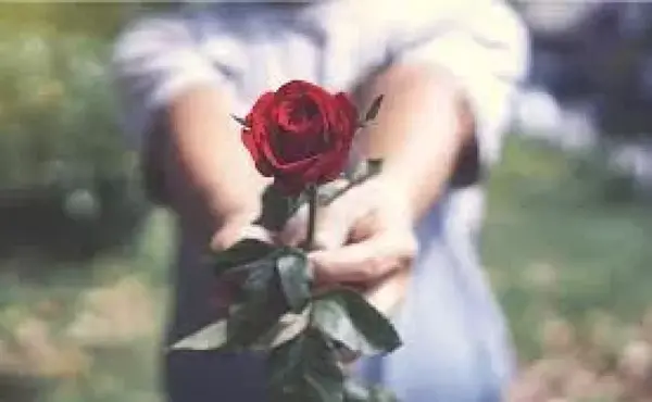 عکس نوشته گل رز با متن عاشقانه