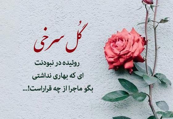 عکس نوشته گل رز با متن عاشقانه