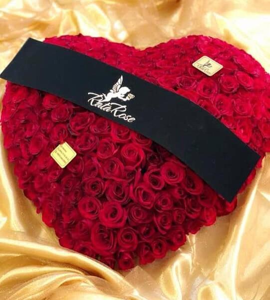 عکس نوشته گل رز با متن عاشقانه