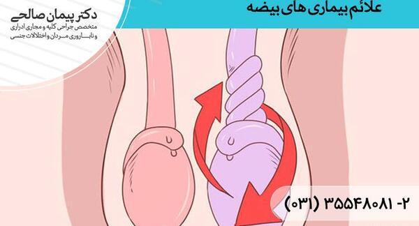 عکس بیضه سالم و ناسالم