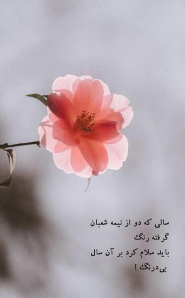 عکس نوشته استوری نیمه شعبان
