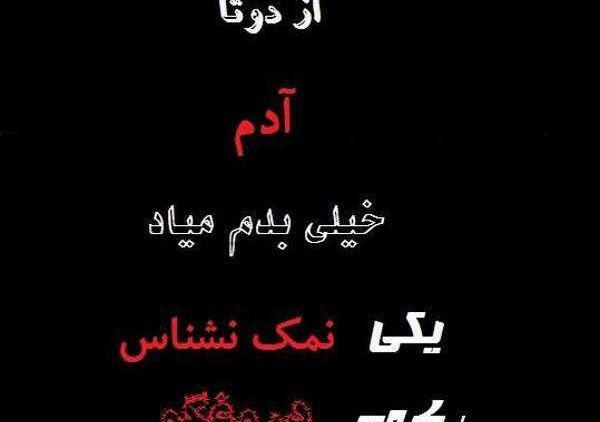 عکس نوشته درباره نمک نشناسی