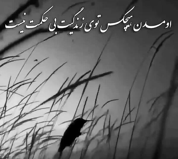 دانلود عکس نوشته غمگین روزگار