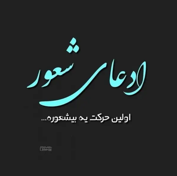 عکس نوشته در مورد بی شعوری