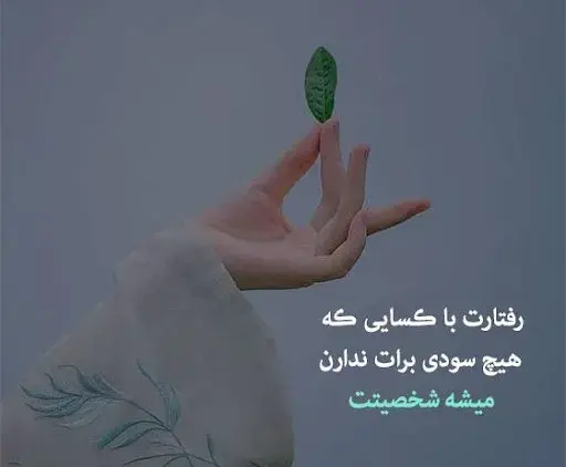 عکس نوشته در مورد بی شعوری
