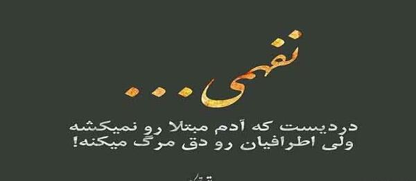 عکس نوشته در مورد بی شعوری
