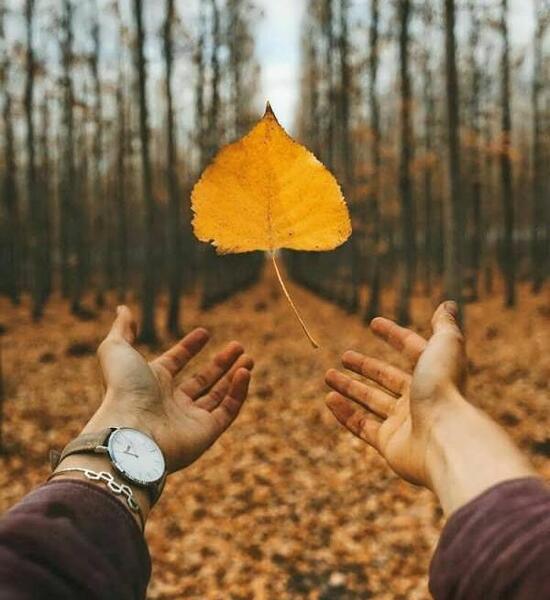 عکس های پاییزه دونفره