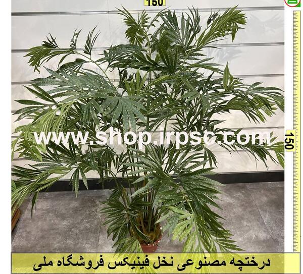 عکس درختچه