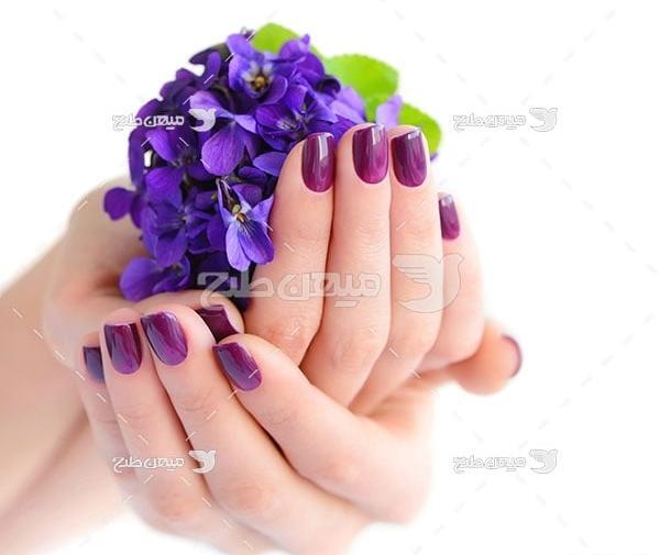 عکس های گل های قشنگ