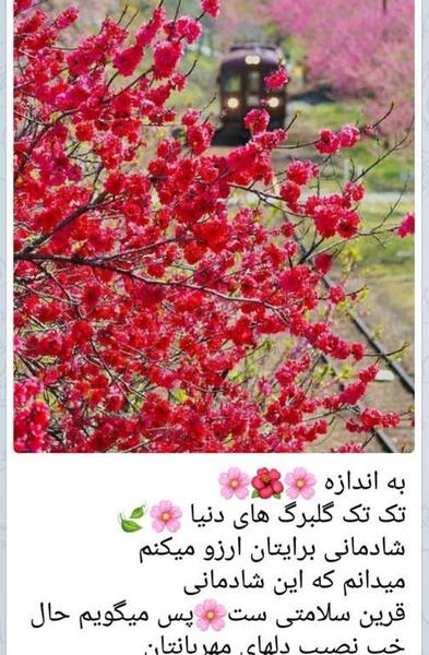 عکس نوشته آرزوی صحت و سلامتی