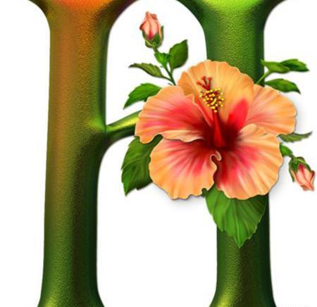 عکس نوشته عاشقانه با حرف h