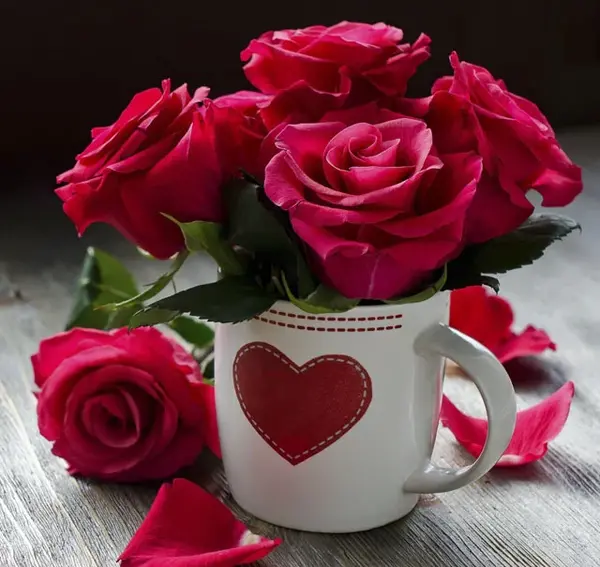 عکس های قشنگ گل ها