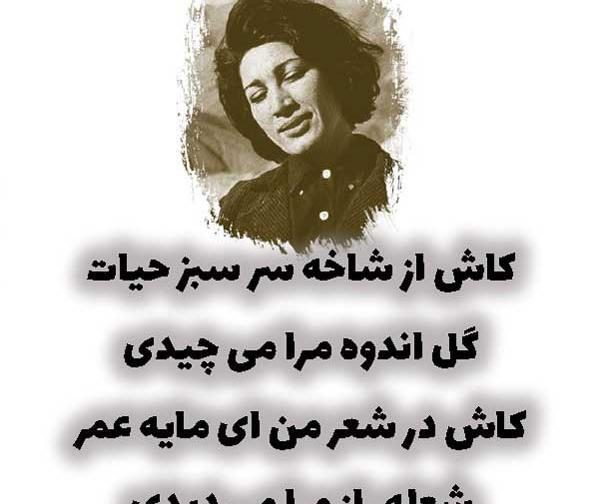 عکس نوشته فروغ فرخزاد در مورد عشق