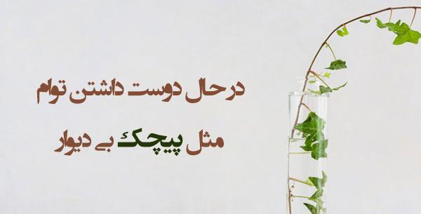عکس نوشته فروغ فرخزاد در مورد عشق