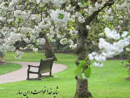 عکس نوشته های عاشقانه بهاری