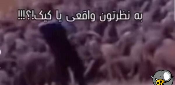 عکس های آدم فضایی واقعی