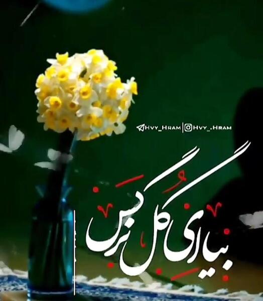 عکس پروفایل گل نرگس با نوشته