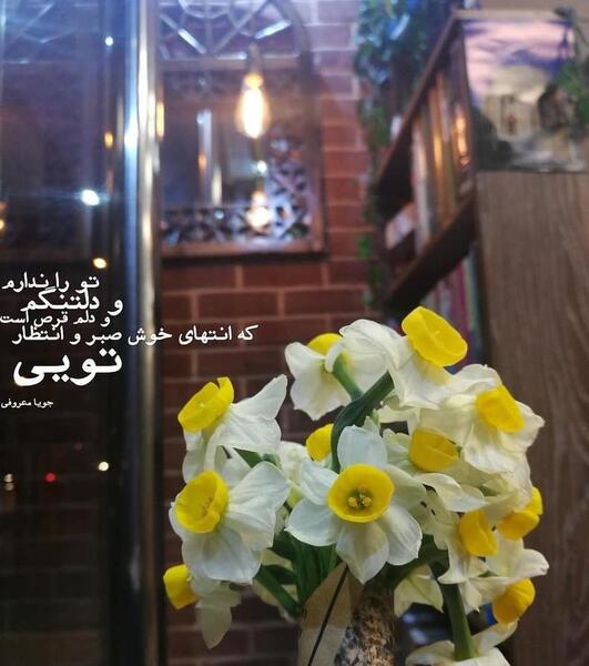 عکس پروفایل گل نرگس با نوشته