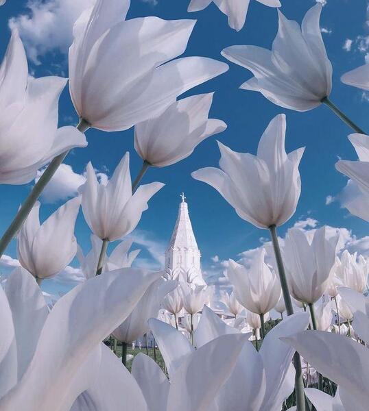 عکس هایی زیبا