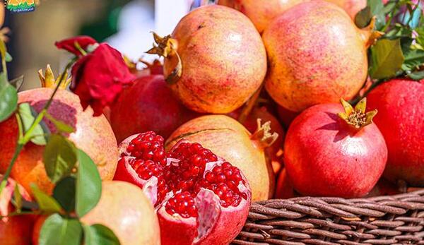 عکس های شب یلدایی زیبا