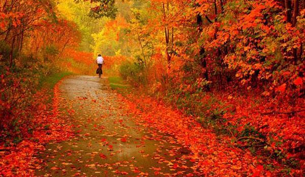 عکس های پاییزی طبیعت