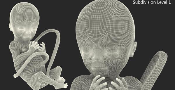 عکس های سه بعدی جنین