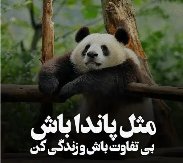 عکس نوشته بی تفاوتی به عشق