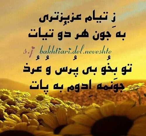 عکس نوشته ی لری خنده دار