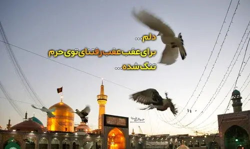 عکس نوشته برای حرم امام رضا