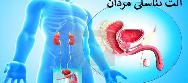 عکس آلت تناسلی