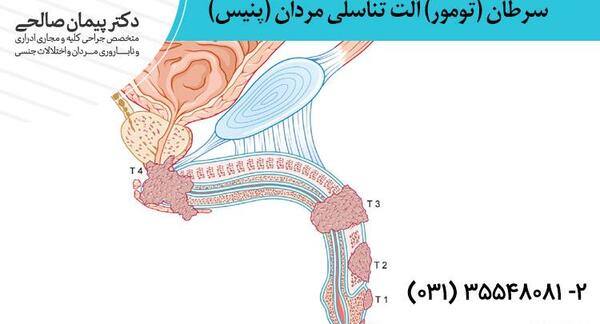 عکس آلت تناسلی