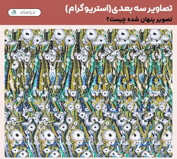 عکس های سه بعدی جدید
