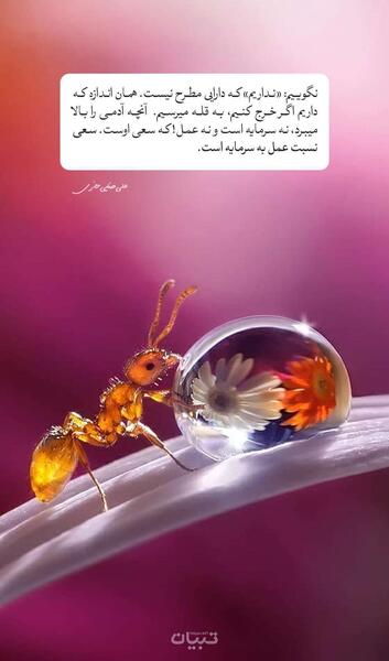 عکس نوشته مذهبی برای وضعیت واتساپ