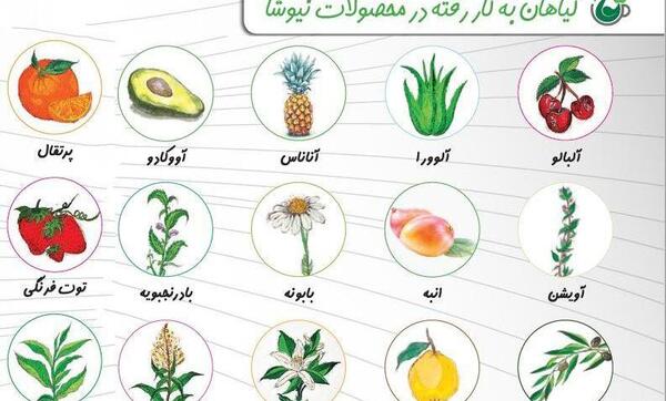 عکس پک های لاغری نیوشا