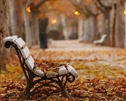 عکس های پاییزی بدون متن