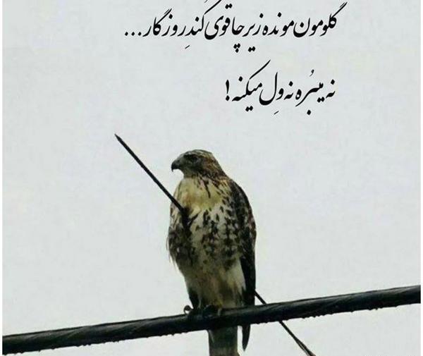 پروفایل عکس های نوشته دار پر معنی جدید
