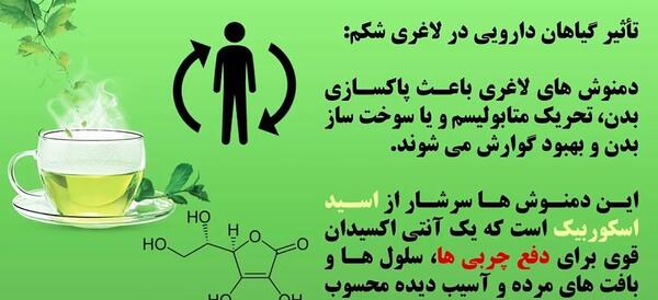 عکس دمنوش های لاغری