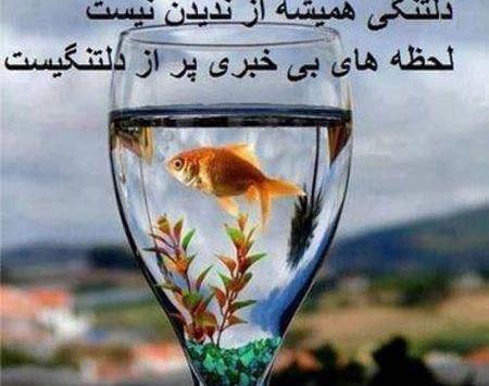 عکس های آموزنده برای کودکان