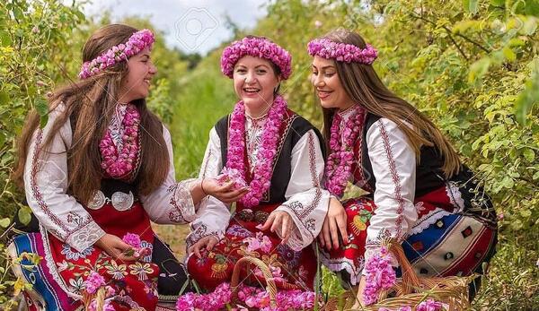 عکس های گلاب گیری کاشان
