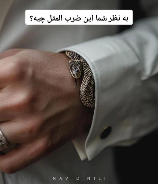 عکس ضرب المثل های ایرانی با هوش مصنوعی