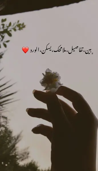 عکس نوشته های عاشقانه عربی
